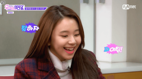 [트와이스] 심바 닮아서 아기맹수라고 불리는 채영이 짤들.jpg | 인스티즈