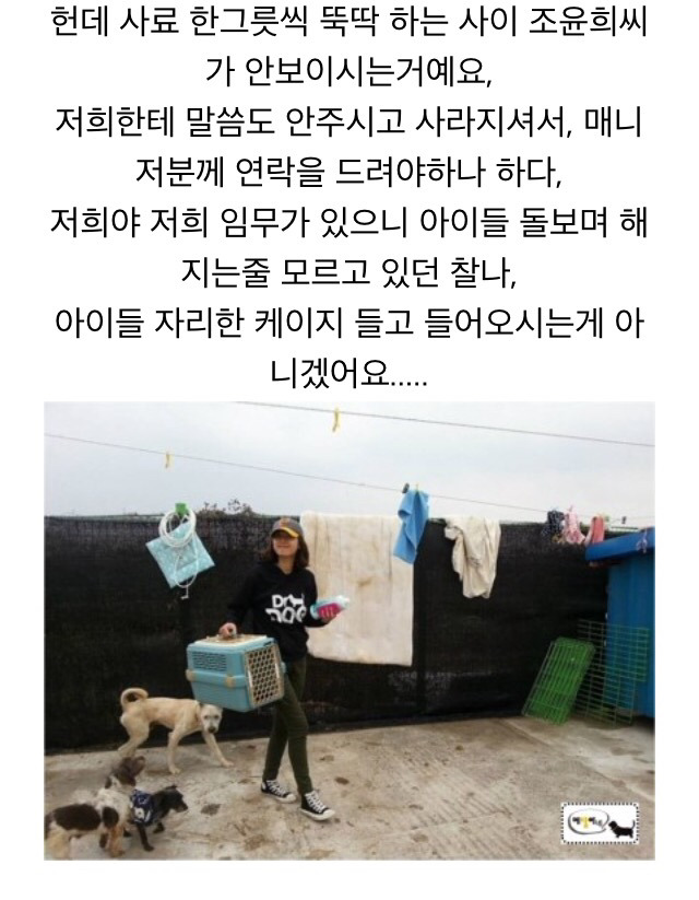 장애 유기견 입양해서 키우는 조윤희 | 인스티즈