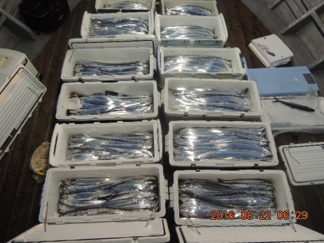 2415523357BA3D1A121EB1