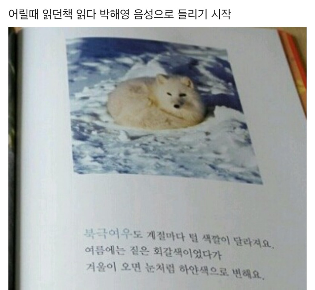 드라마 시그널 후유증 | 인스티즈