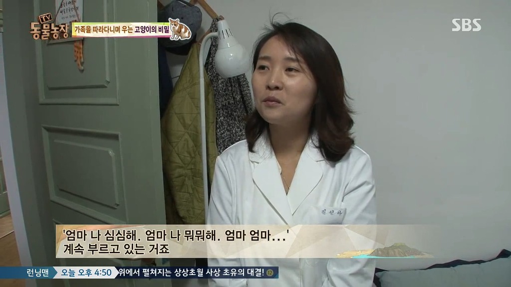 [동물농장] 존트 할말 다 하고 사는 수다쟁이 고양이 쪼롱이ㅋㅋㅋㅋ.jpg | 인스티즈