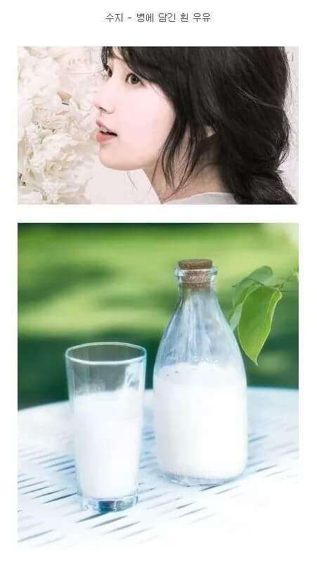 사물을 닮은 남.여 연예인들 | 인스티즈
