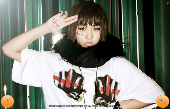 2ne1 최전성기 시절ㄷㄷㄷㄷ | 인스티즈