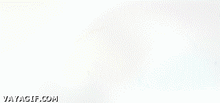 고양이랑 산책을 못나가는 이유 | 인스티즈