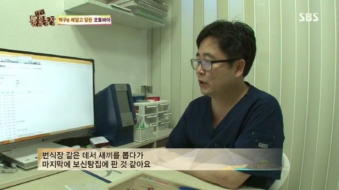 [TV동물농장] 동물농장에서 방송된 인천의 한 개 도축장의 현실.jpg | 인스티즈