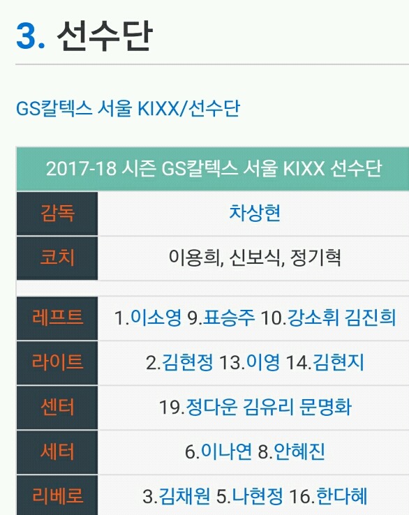 v리그 각 구단 주장들(여자부) | 인스티즈