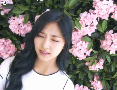 트와이스 : 쯔위에요 | 인스티즈