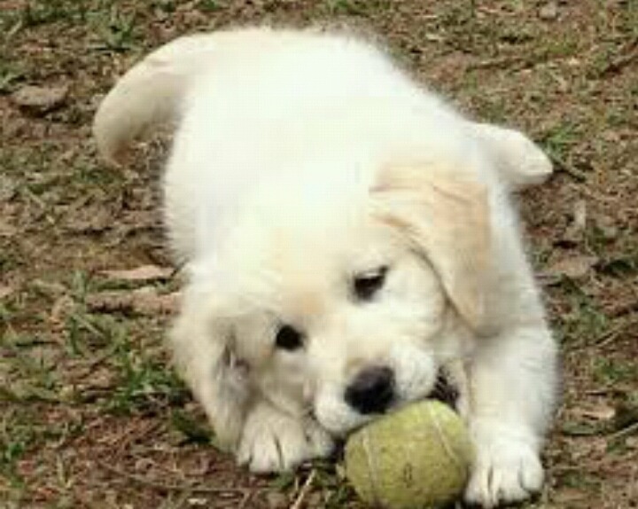 공과 뗄레야 뗄수없는 수.jpg | 인스티즈