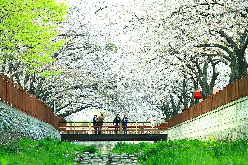 전국에서 제일 살기좋은도시 | 인스티즈