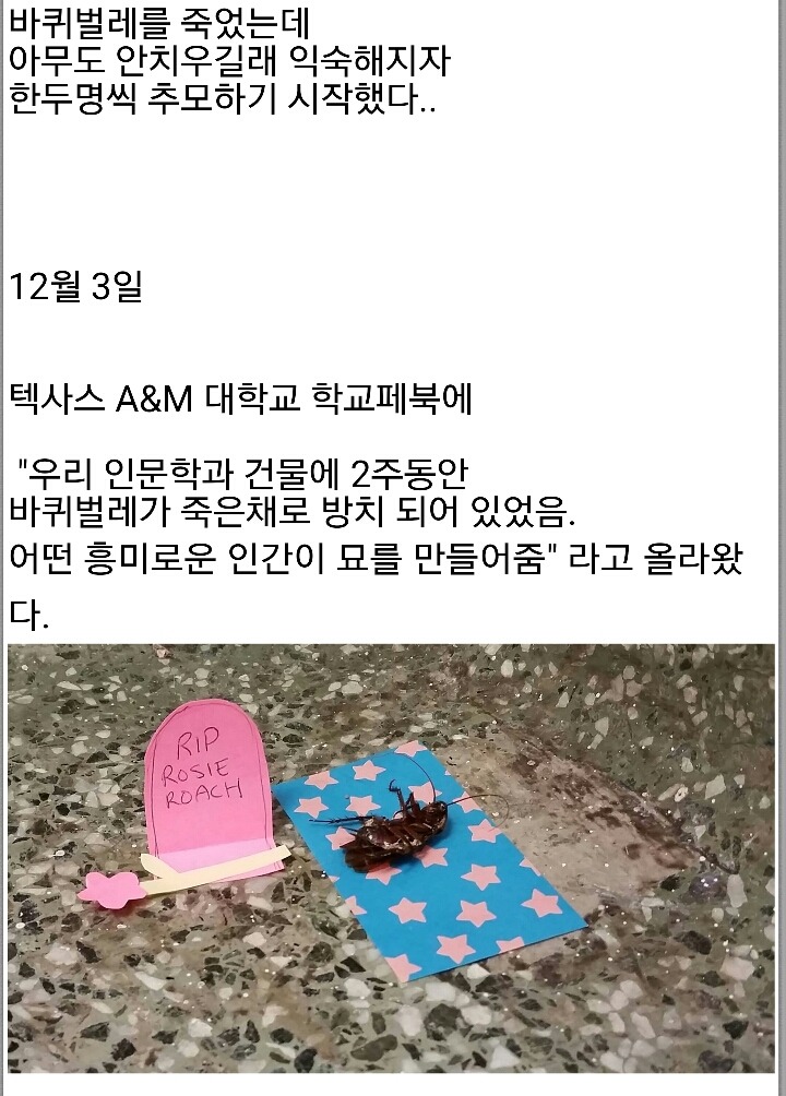 어느 대학교의 장례식... | 인스티즈