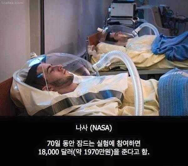 잠만 자면 2천만원 주는 알바 | 인스티즈