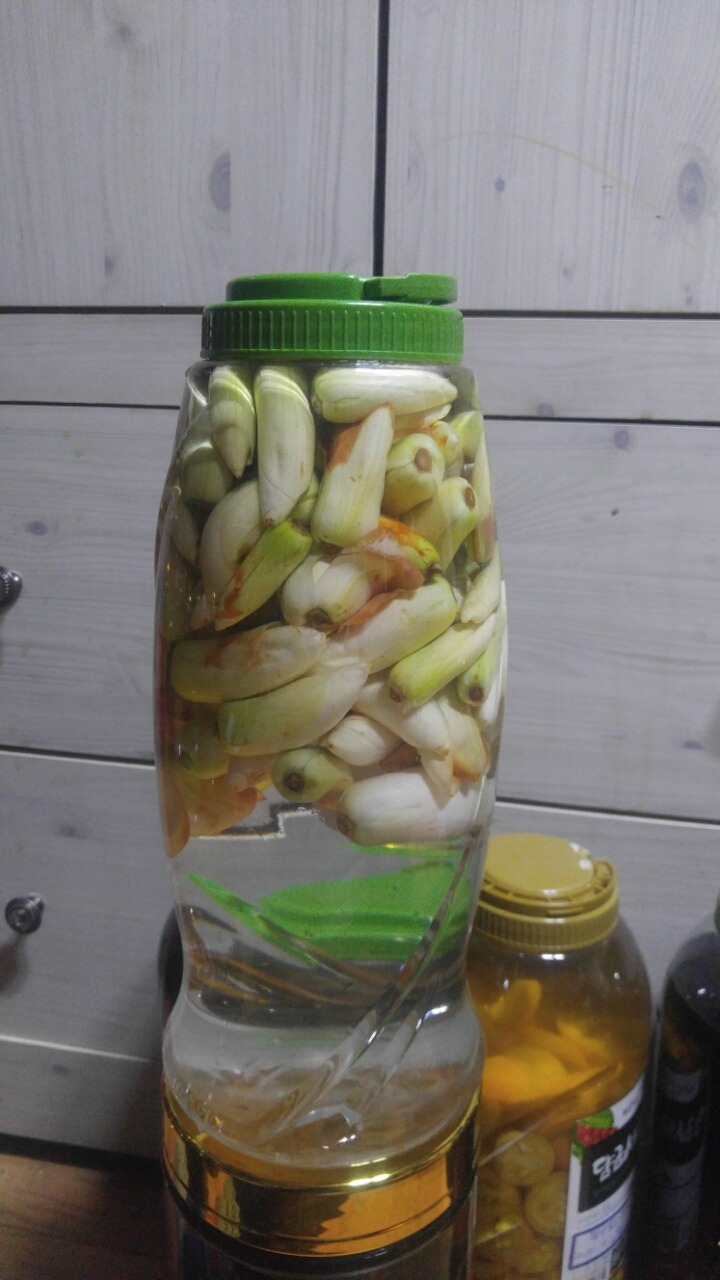 화주 이미지