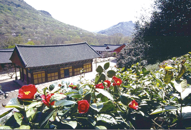 개화주유소 이미지