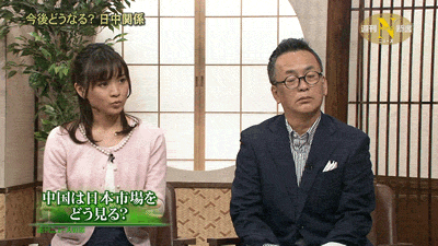 일본 시사프로그램에 등장하는 흔한 고양이 | 인스티즈