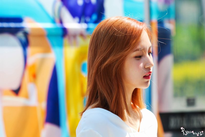 [트와이스] 분위기 있는 미나사진 | 인스티즈