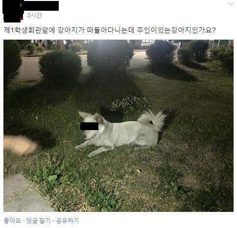 복순이다.jpg | 인스티즈