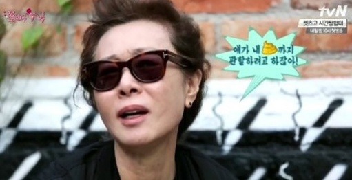 기존 꽃보다 시리즈와 꽃청춘 아프리카 편 비교 (감사하다) | 인스티즈