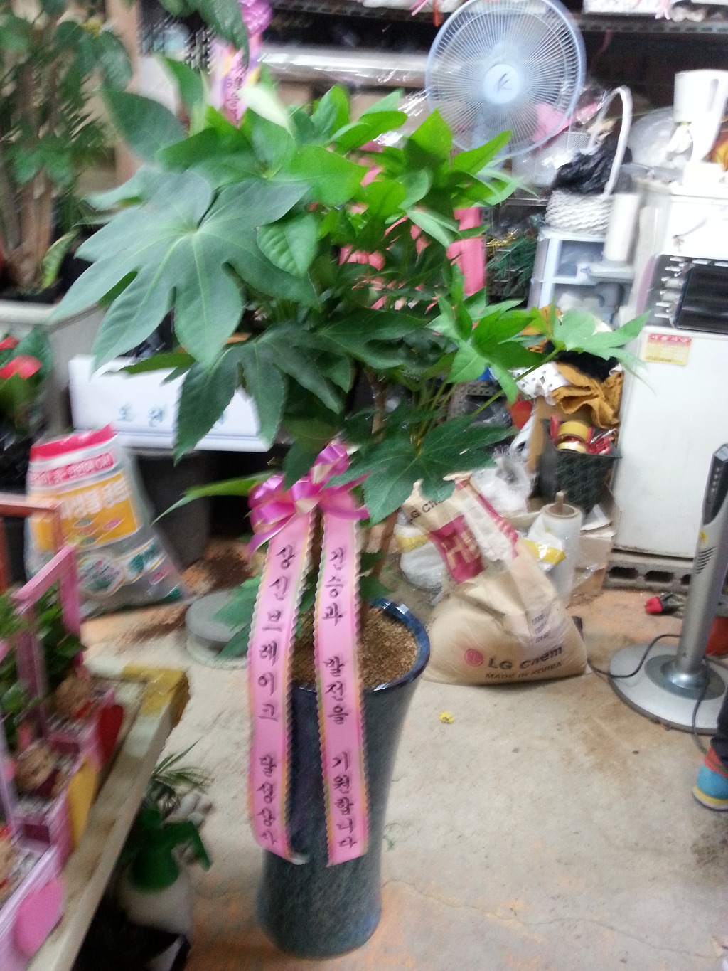 상신상사 이미지