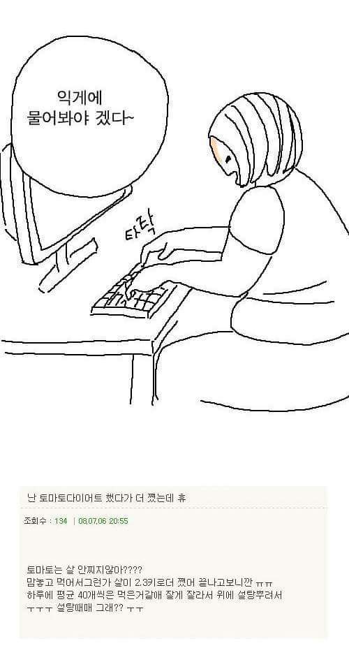 토마토 다이어트 | 인스티즈