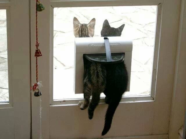 24782947561F65E518817B