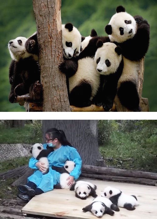 대륙의 꿀직업 | 인스티즈