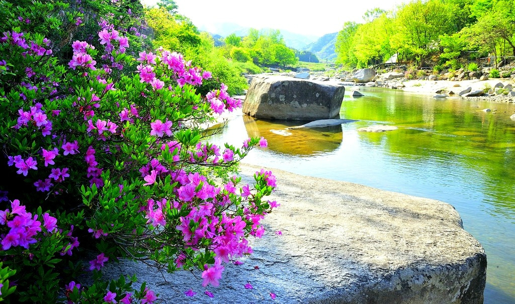 김서방 이미지