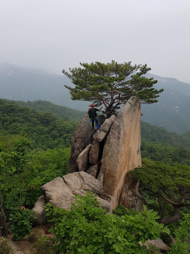 삼공사공 이미지