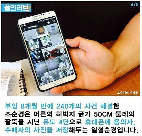 나갈래 이미지