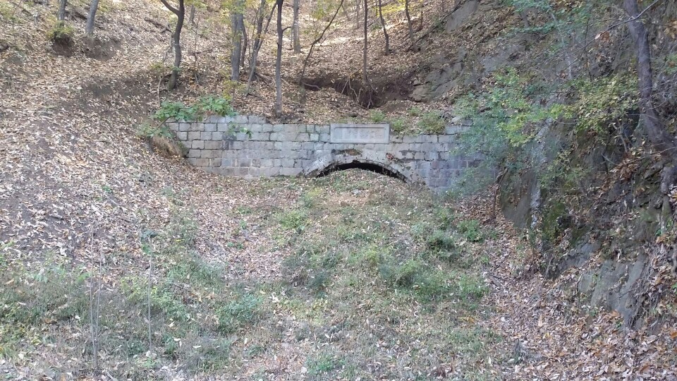 증약 이미지