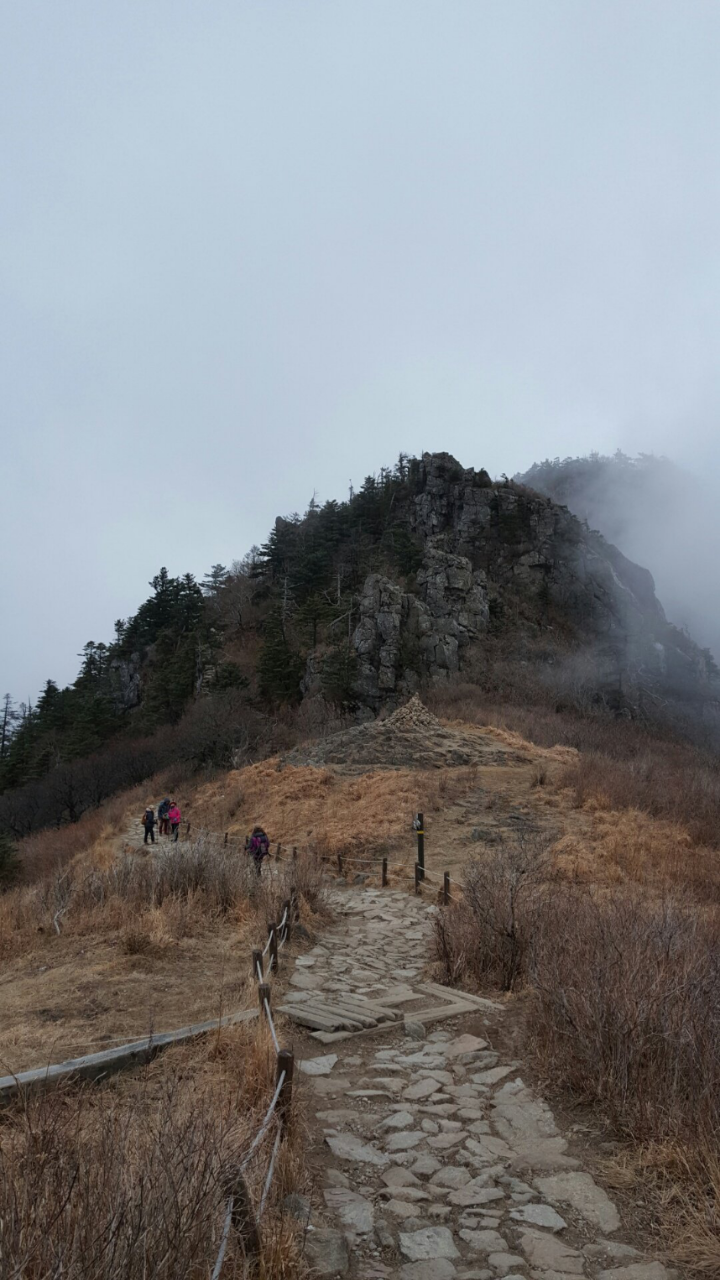 꿈에농장 이미지