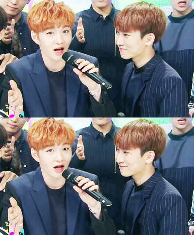 미욜 이미지