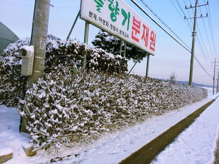 울타리 이미지