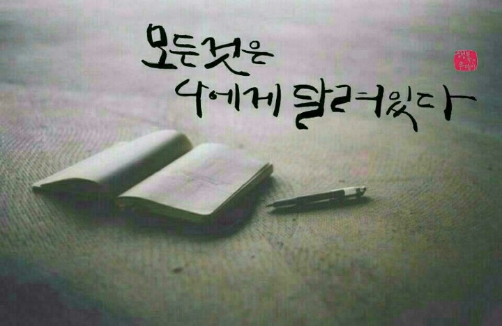 보까 이미지