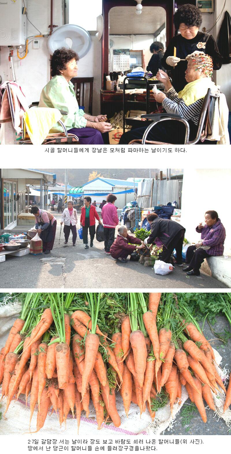 장터미용실 이미지