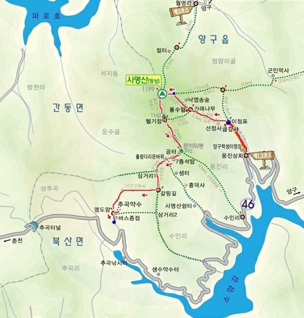 뿔난여우 이미지
