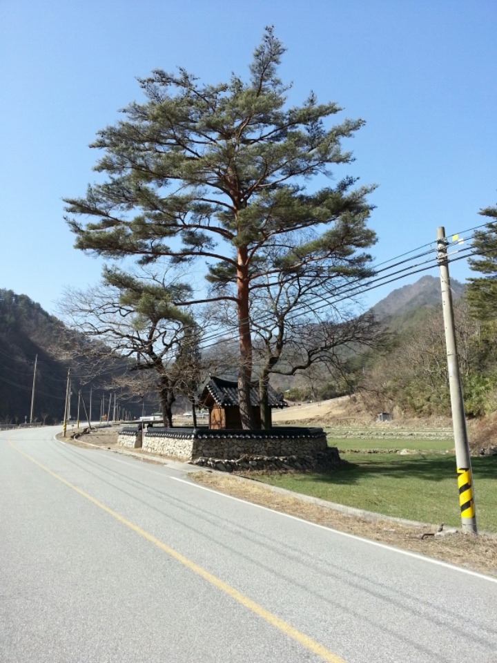 김진호가옥 이미지