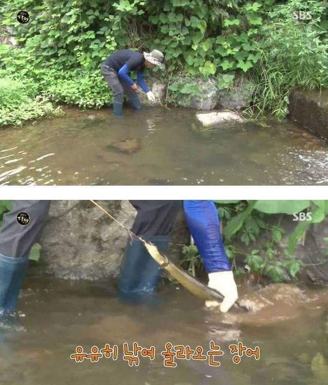 자연산 장어의 위엄 | 인스티즈