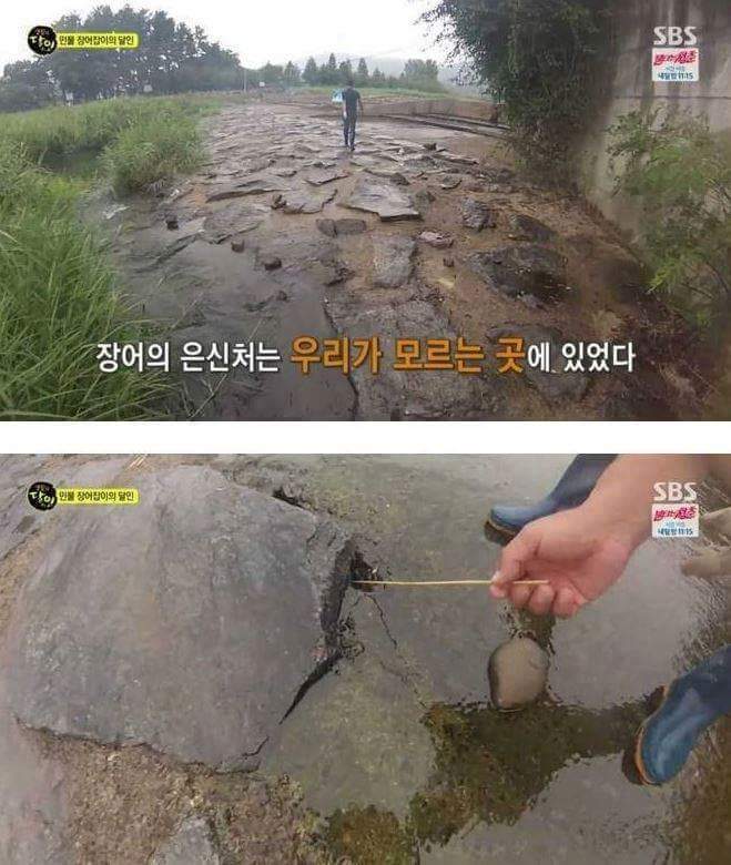 민물장어의 위엄 | 인스티즈