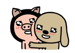 카톡 이미지