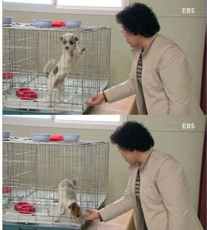 나는 아직 살수 있는데 왜 죽으라하나요 | 인스티즈