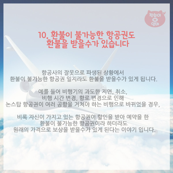 항공사가 숨기는 탑승객의 권리 10가지 | 인스티즈
