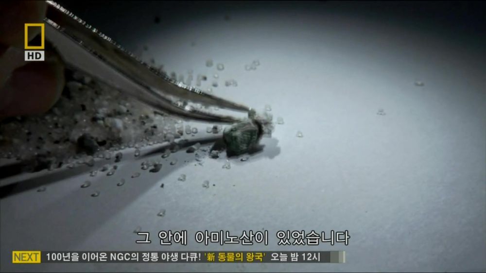 과학자들의 외계 생명체를 찾기위한 노력들.jpg | 인스티즈