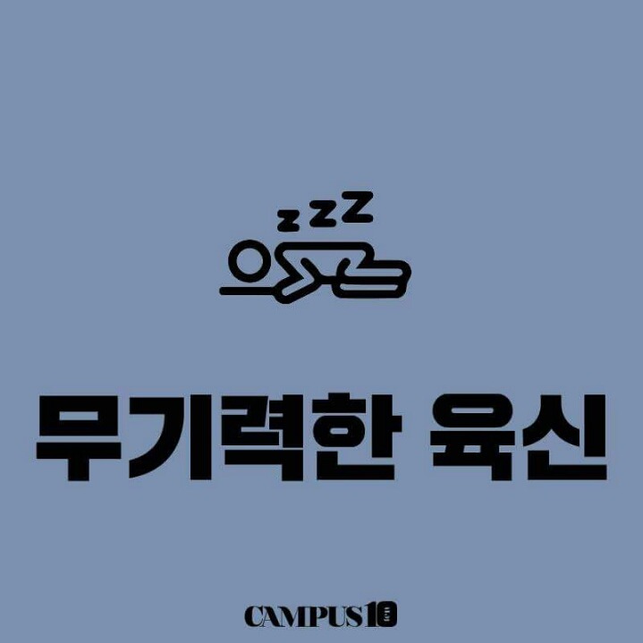 우리가 대학에가서 얻은것 | 인스티즈