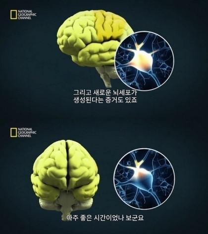 현자타임이 되어가는 뇌... | 인스티즈