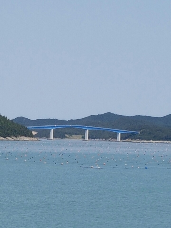 일경 이미지