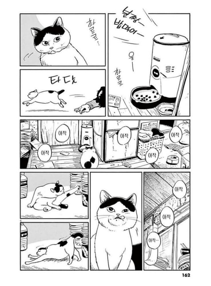 고양이 분짱(슬픔주의) | 인스티즈