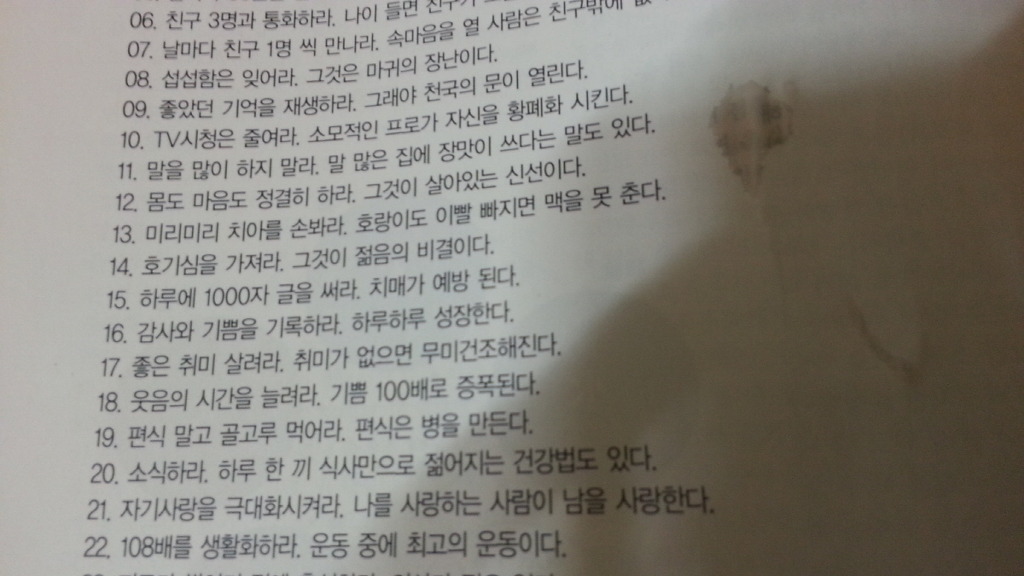 솔벗 이미지