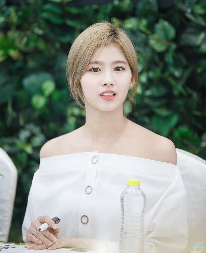 네이처컬렉션 이미지