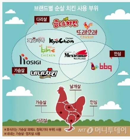 내가 모은 잡다한 정보들 데이터주의 | 인스티즈