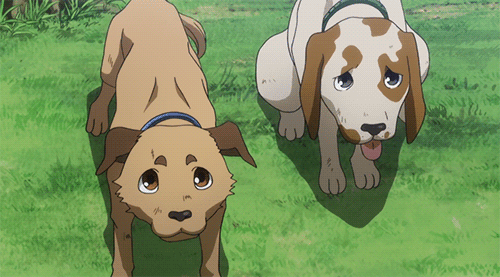 2D 강아지 (움짤多/ | 인스티즈